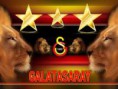 /album/resim-galerisi/images-5-jpg/
